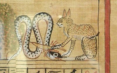 La gatta femmina egizia e il gatto maschio