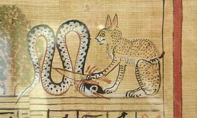 La gatta femmina egizia e il gatto maschio