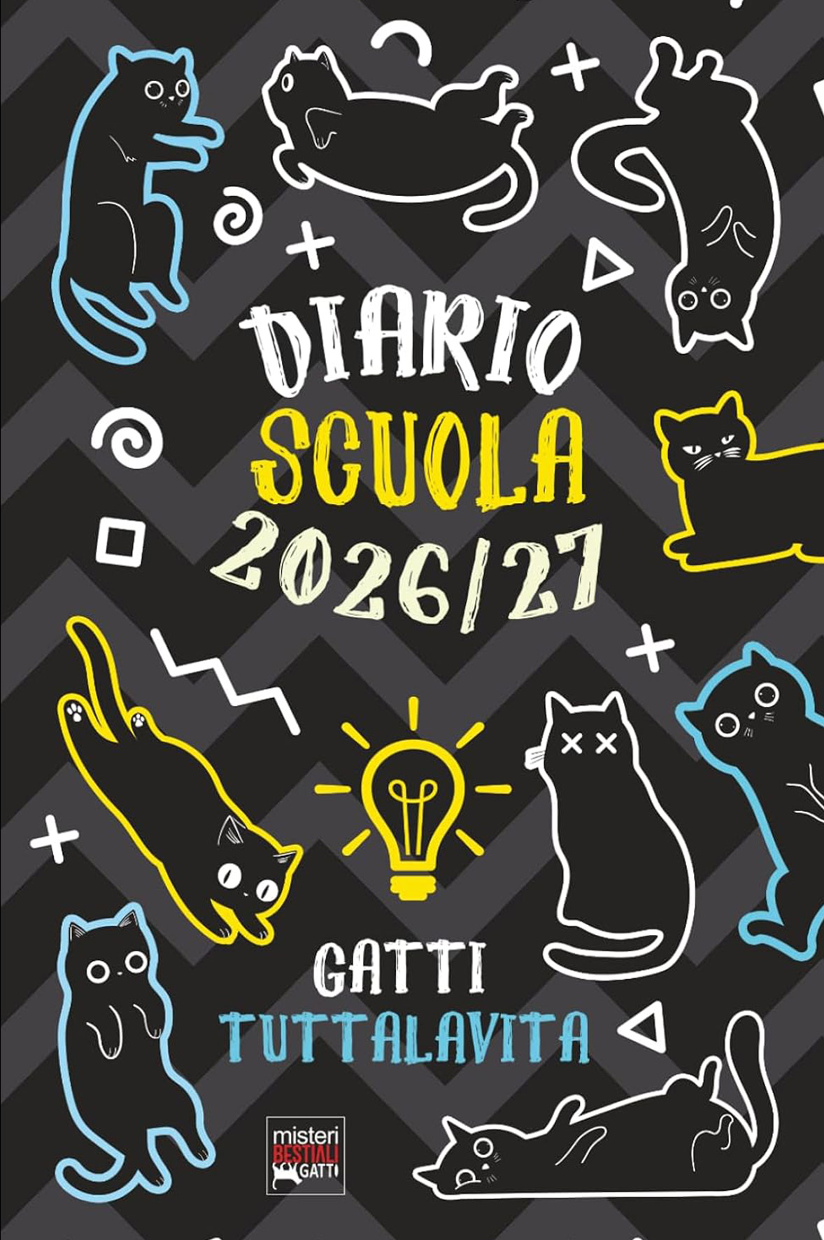 gatto-scuola