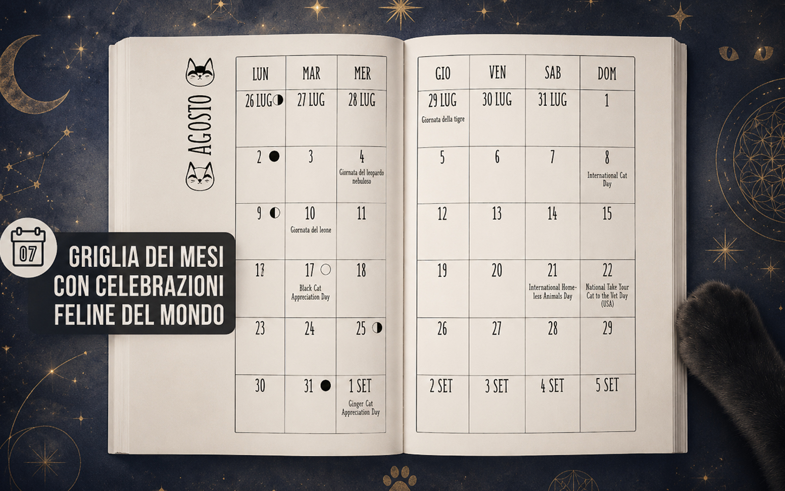 magia (3)