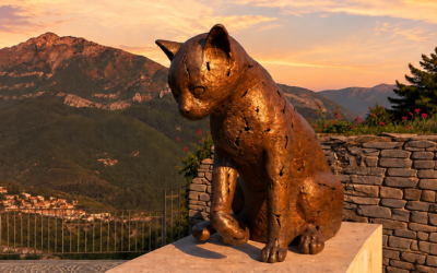Il gatto del paese delle streghe