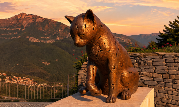 Il gatto del paese delle streghe